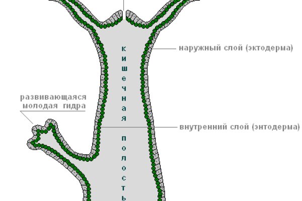 Кракен тор