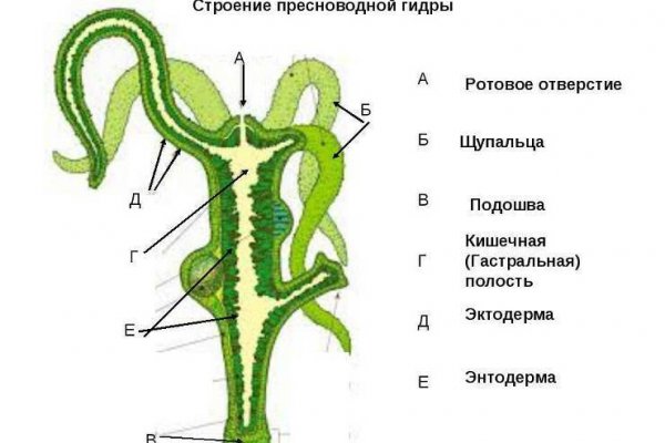 Сайты для даркнета