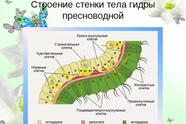 Кракен маркетплейс что продают