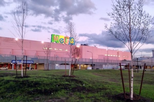 Кракен нет