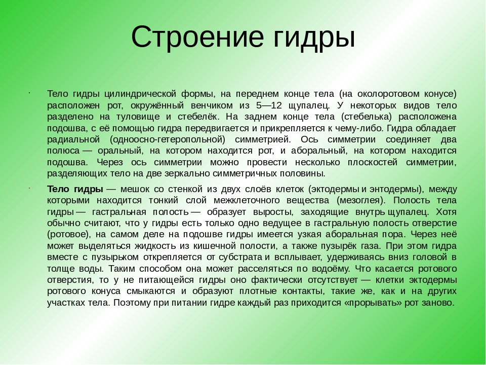 Через какой браузер зайти на кракен